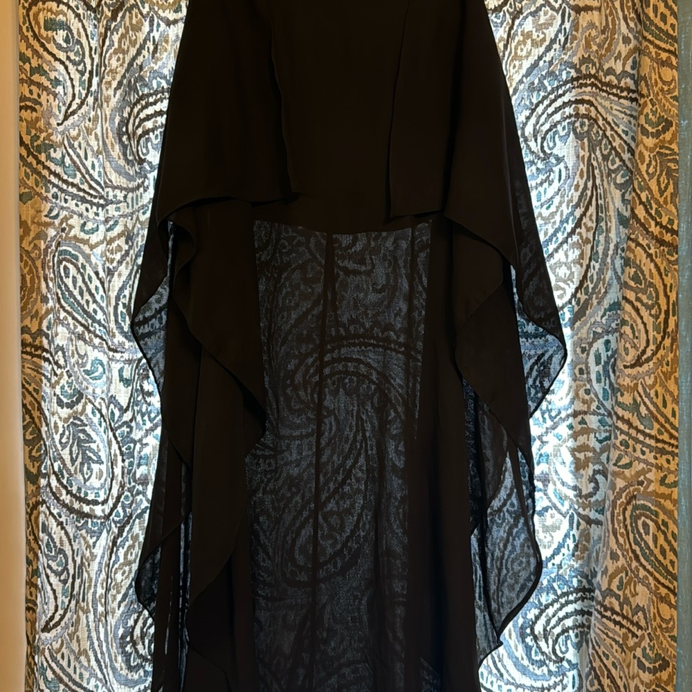 Love Culture Long Sheer Skirt